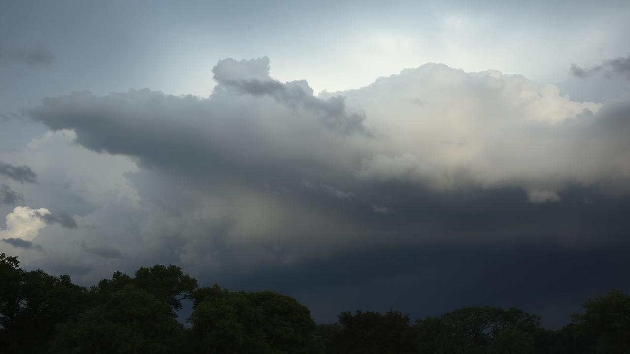 Hurricane Tree Prep: A Pee Dee Region Homeowner's Checklist